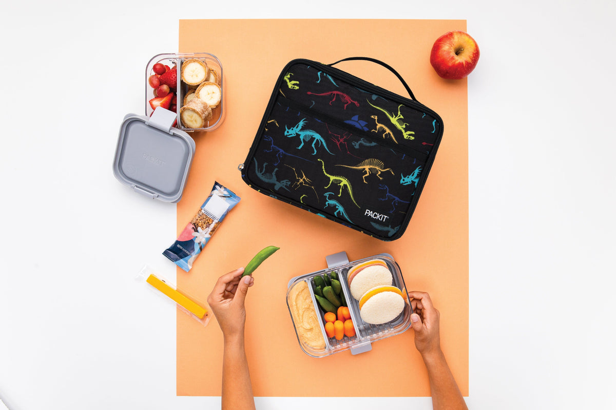 freezable-lunch-box-limited-edition-t2 2022_Lifestyle_Lunch-Box_Dino_Fossils_Hires.jpg
